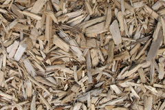 biomass boilers Rhiwbryfdir